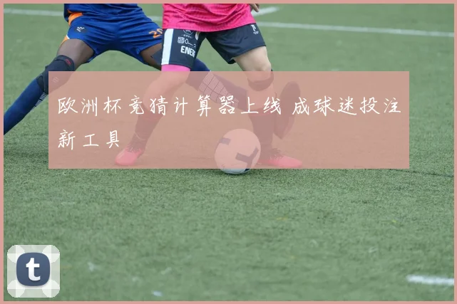 欧洲杯竞猜计算器上线 成球迷投注新工具