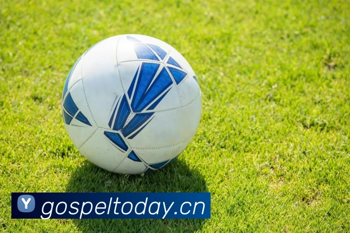 mksports在线登录入口APP 封面图